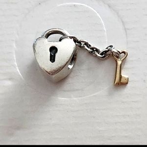 💙💜Pandora Charm 🩵🩵💜💜